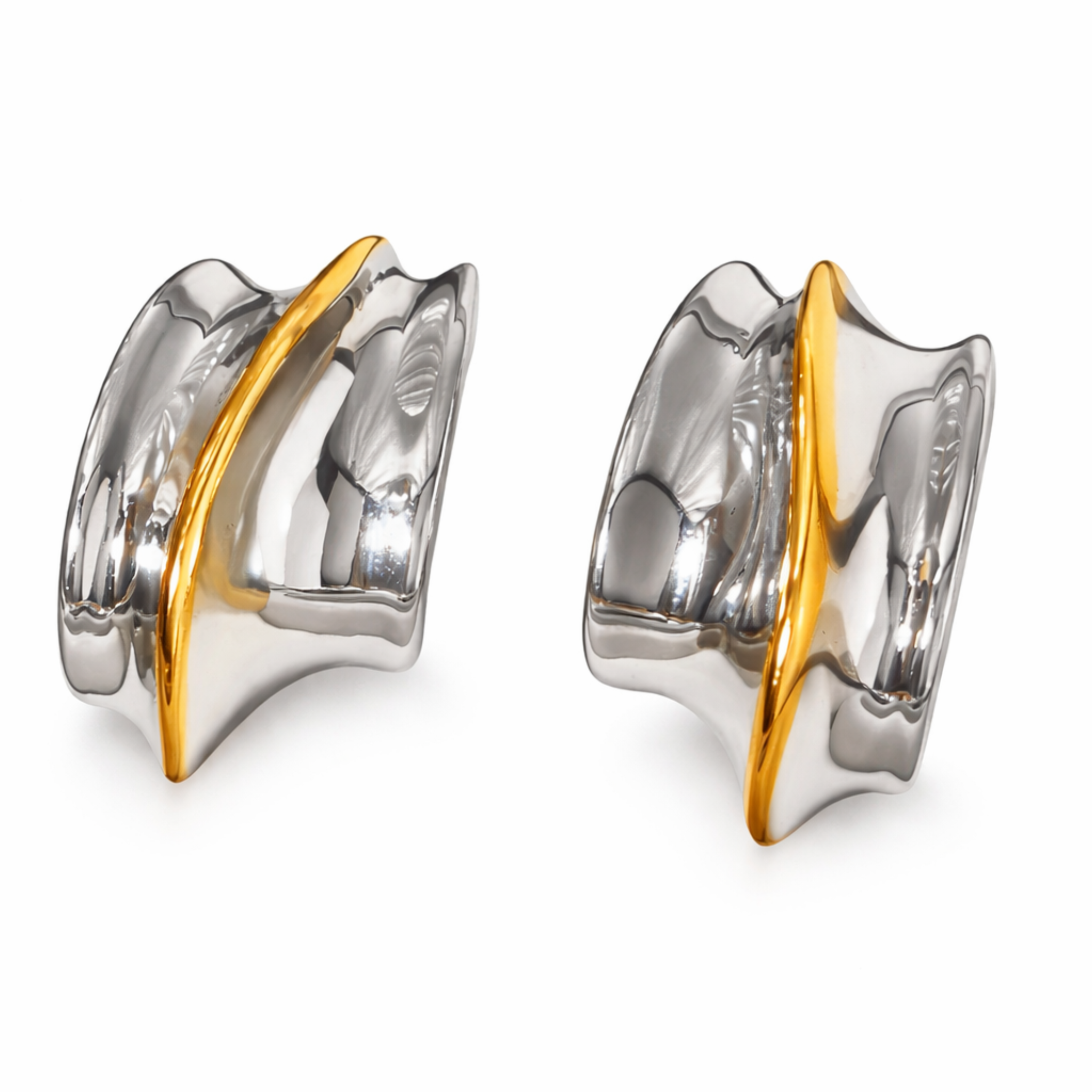 Image of The Wave Two Toned Earrings